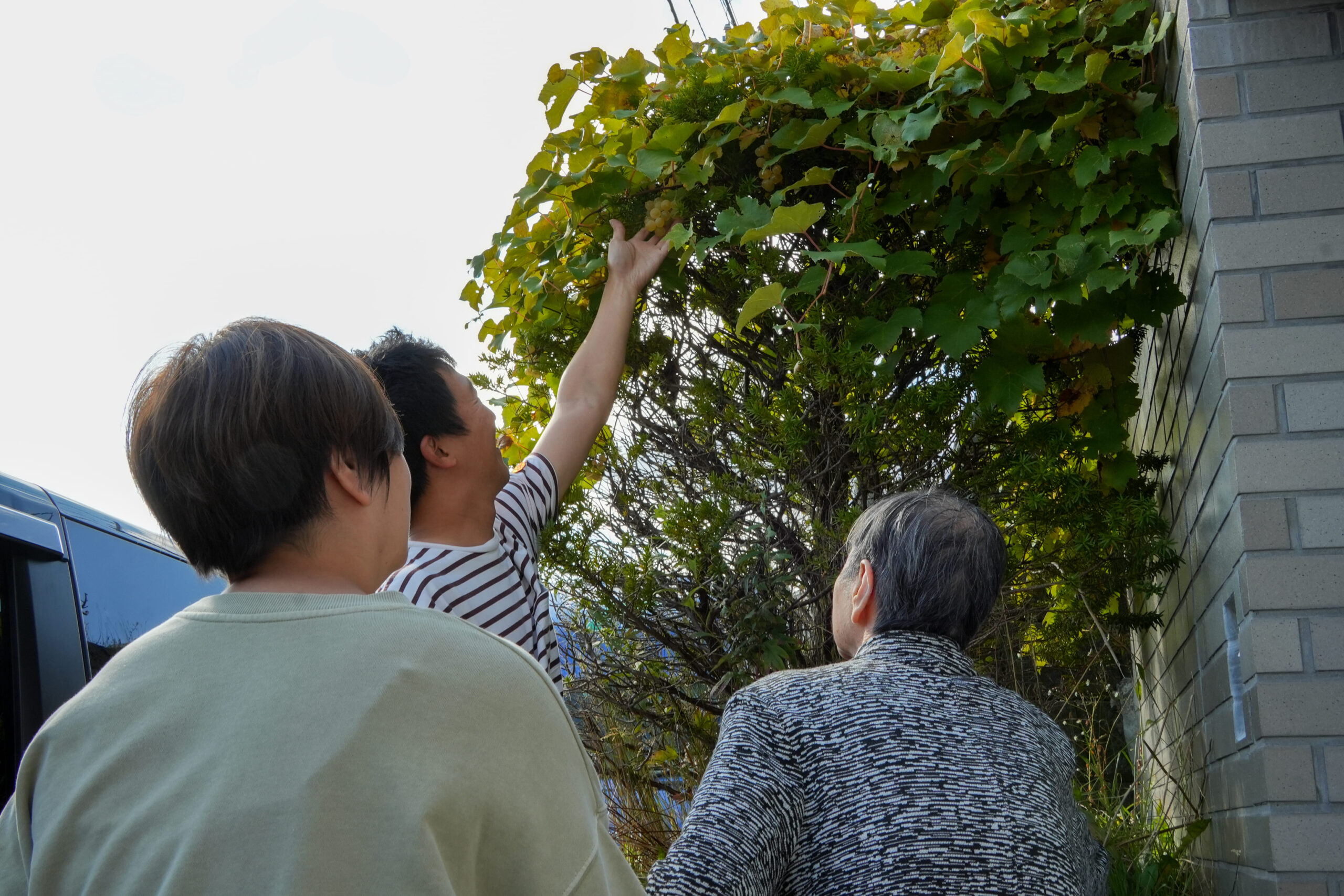 業務内容